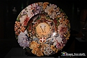 VBS_7346 - Mostra Margherita di Savoia Regina d'Italia